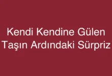 Kendi Kendine Gülen Taşın Ardındaki Sürpriz