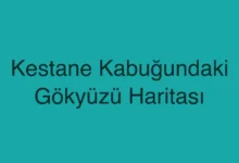 Kestane Kabuğundaki Gökyüzü Haritası