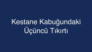 Kestane Kabuğundaki Üçüncü Tıkırtı