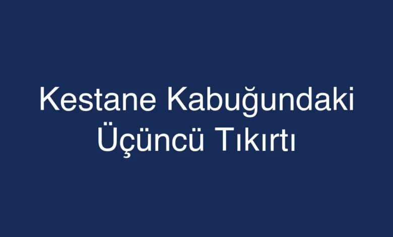 Kestane Kabuğundaki Üçüncü Tıkırtı