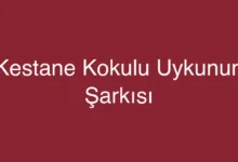 Kestane Kokulu Uykunun Şarkısı