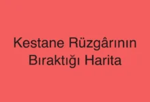 Kestane Rüzgârının Bıraktığı Harita