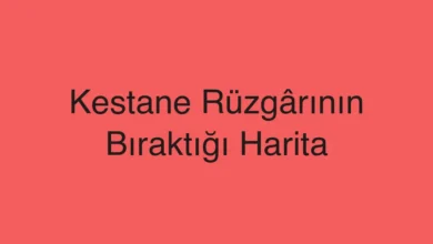 Kestane Rüzgârının Bıraktığı Harita