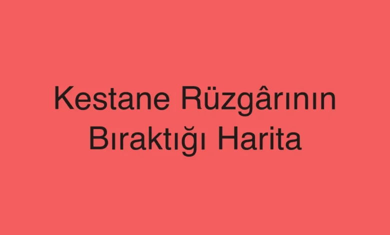 Kestane Rüzgârının Bıraktığı Harita