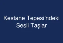 Kestane Tepesi’ndeki Sesli Taşlar