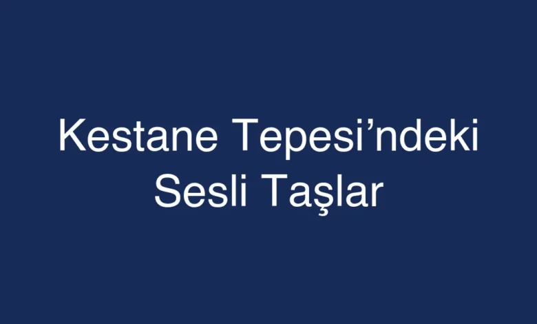 Kestane Tepesi’ndeki Sesli Taşlar