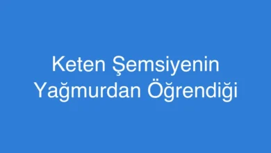 Keten Şemsiyenin Yağmurdan Öğrendiği
