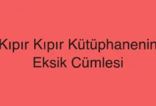 Kıpır Kıpır Kütüphanenin Eksik Cümlesi