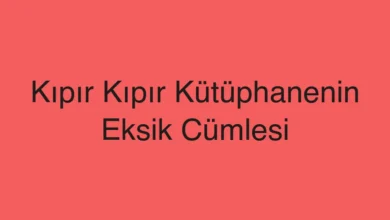Kıpır Kıpır Kütüphanenin Eksik Cümlesi