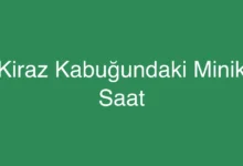 Kiraz Kabuğundaki Minik Saat