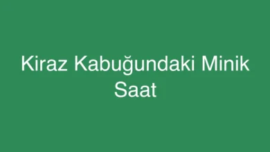 Kiraz Kabuğundaki Minik Saat