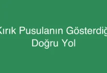 Kırık Pusulanın Gösterdiği Doğru Yol