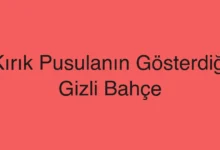 Kırık Pusulanın Gösterdiği Gizli Bahçe