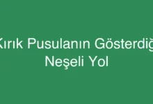 Kırık Pusulanın Gösterdiği Neşeli Yol