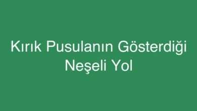 Kırık Pusulanın Gösterdiği Neşeli Yol