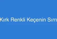 Kırk Renkli Keçenin Sırrı