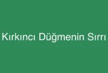 Kırkıncı Düğmenin Sırrı