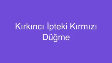 Kırkıncı İpteki Kırmızı Düğme