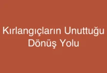Kırlangıçların Unuttuğu Dönüş Yolu