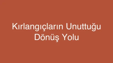 Kırlangıçların Unuttuğu Dönüş Yolu