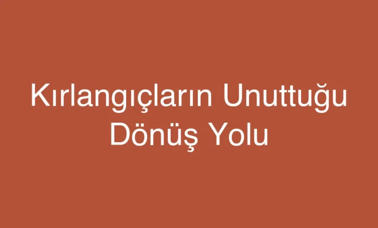 Kırlangıçların Unuttuğu Dönüş Yolu