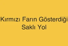 Kırmızı Farın Gösterdiği Saklı Yol