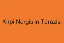 Kirpi Nergis’in Terazisi