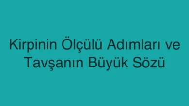 Kirpinin Ölçülü Adımları ve Tavşanın Büyük Sözü
