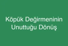 Köpük Değirmeninin Unuttuğu Dönüş