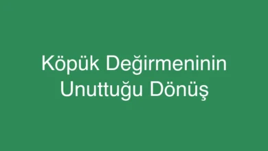 Köpük Değirmeninin Unuttuğu Dönüş