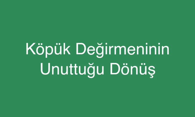 Köpük Değirmeninin Unuttuğu Dönüş