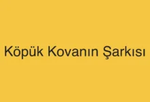 Köpük Kovanın Şarkısı