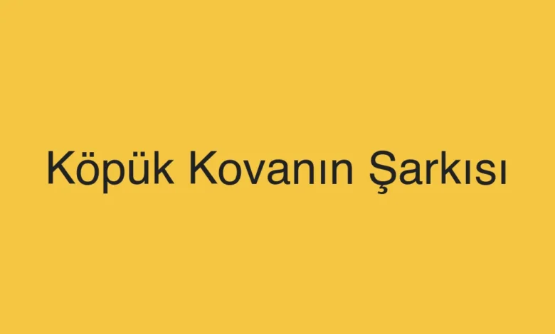 Köpük Kovanın Şarkısı