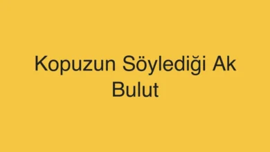 Kopuzun Söylediği Ak Bulut