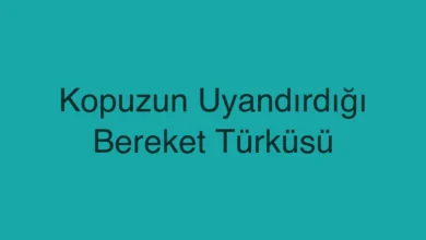 Kopuzun Uyandırdığı Bereket Türküsü