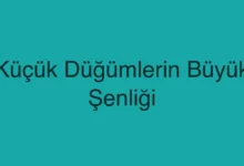 Küçük Düğümlerin Büyük Şenliği