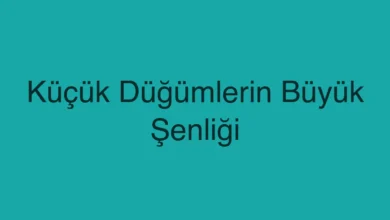 Küçük Düğümlerin Büyük Şenliği