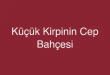 Küçük Kirpinin Cep Bahçesi