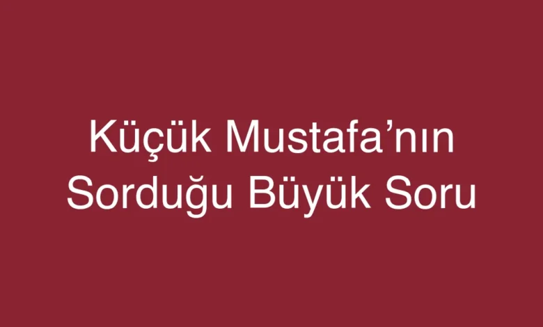 Küçük Mustafa’nın Sorduğu Büyük Soru