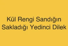Kül Rengi Sandığın Sakladığı Yedinci Dilek