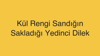 Kül Rengi Sandığın Sakladığı Yedinci Dilek