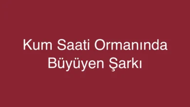 Kum Saati Ormanında Büyüyen Şarkı