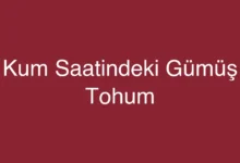 Kum Saatindeki Gümüş Tohum