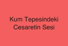 Kum Tepesindeki Cesaretin Sesi