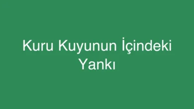 Kuru Kuyunun İçindeki Yankı