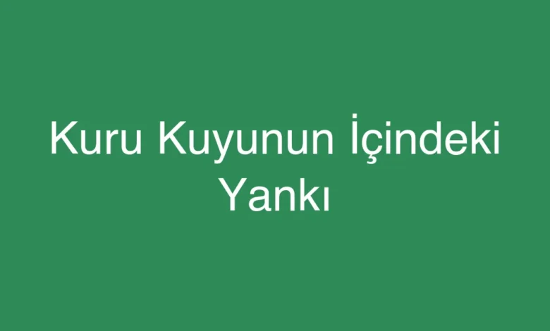 Kuru Kuyunun İçindeki Yankı