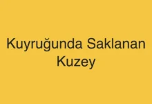 Kuyruğunda Saklanan Kuzey