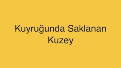 Kuyruğunda Saklanan Kuzey