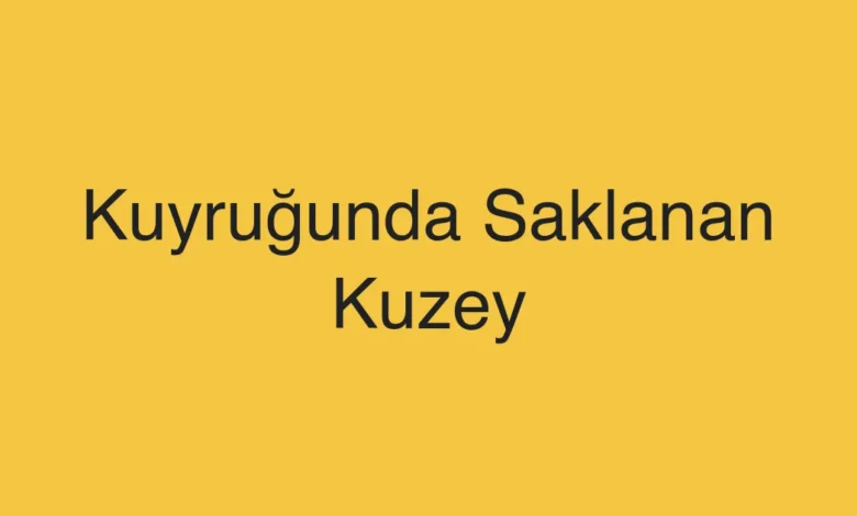 Kuyruğunda Saklanan Kuzey