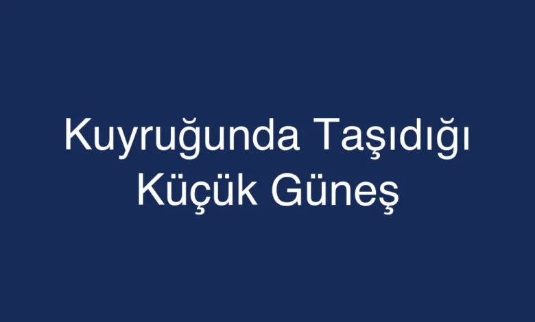 Kuyruğunda Taşıdığı Küçük Güneş